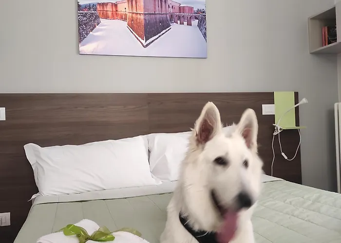 La Terrazza Del Bed & Breakfast 3*